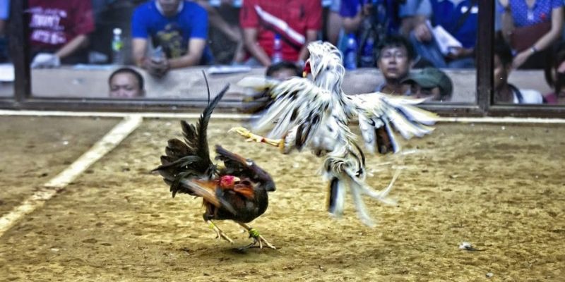 181bet xổ số miền bắc hôm quả