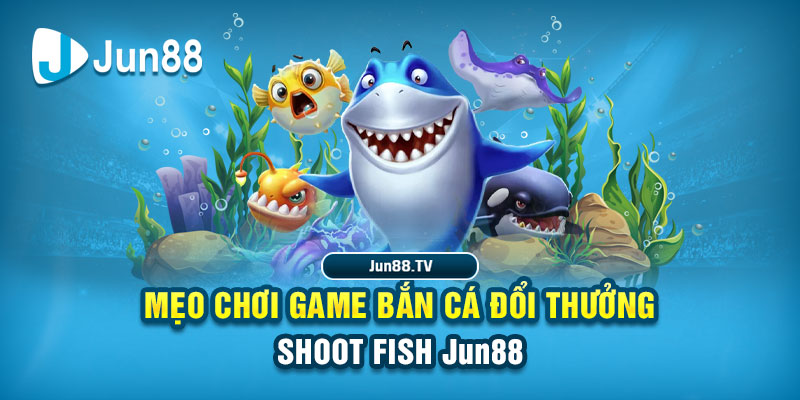 181bet tai game danh bai bigkool ve may tinh