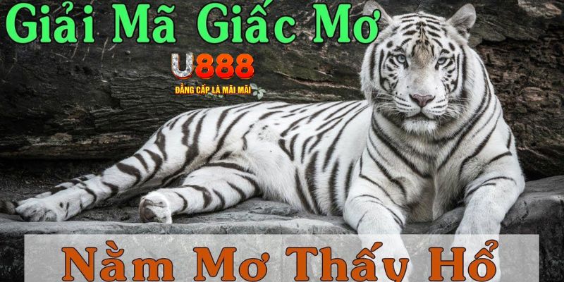 181bet xổ số kiến thiết miền bắc