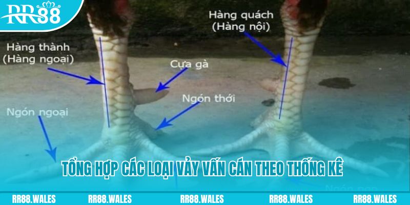 181bet nổ hũ chơi như thế nào
