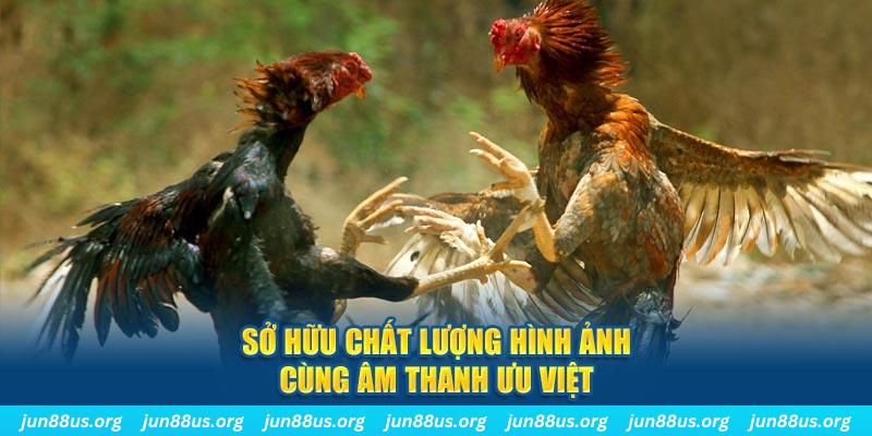 181bet tai game danh bai ve may tinh
