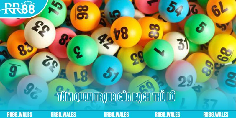 181bet đá gà trực tiếp casino