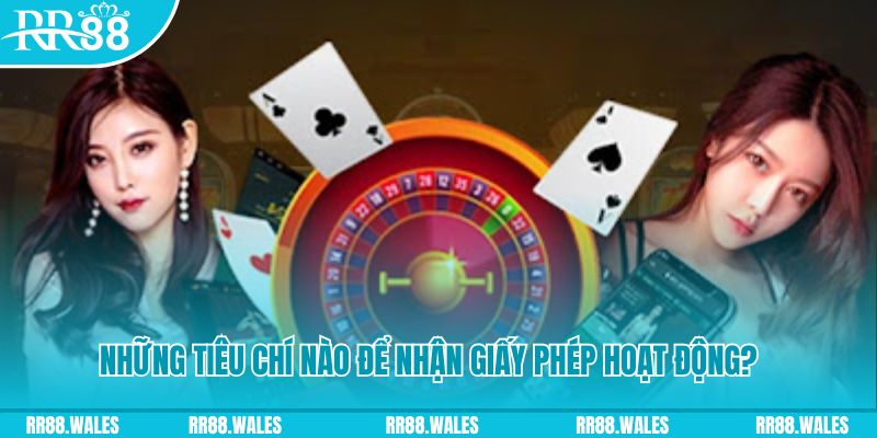 181bet casino ở đâu