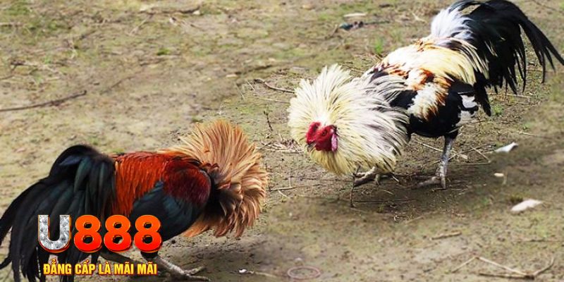 181bet game nổ hũ là gì