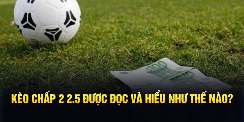 181bet đá gà thomo