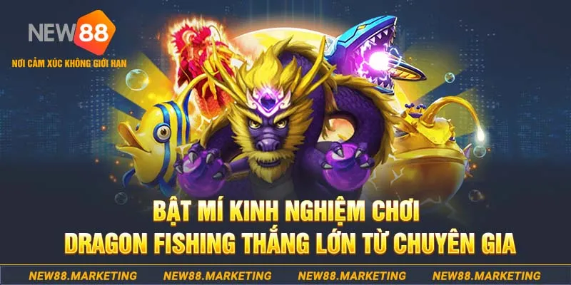 181bet who wants to be a millionaire slot