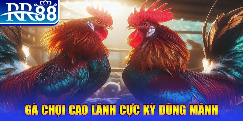 181bet natural” trong baccarat nghĩa là gì？