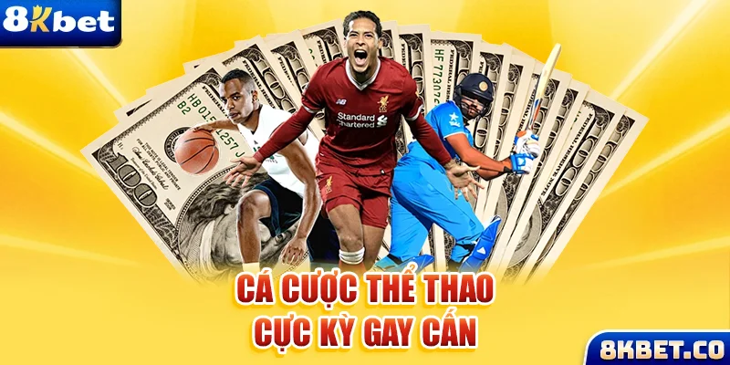 181bet Bữa tiệc dành cho thanh thiếu niên